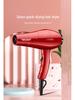 High-Power Hair Dryer with AC Motor for Salon-Quality Hair Care