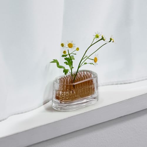Ash Concept (h concept) +d MICHI-KUSA Oval Crystal D-372-CL Flower Vase, Compact, for Fresh Flowers, Kenzan (flower frog)