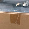 Used Plex Co., Ltd. Godzilla 2000 Millennium Model Replica [Soft Vinyl Version] Real Master Collection Godzilla