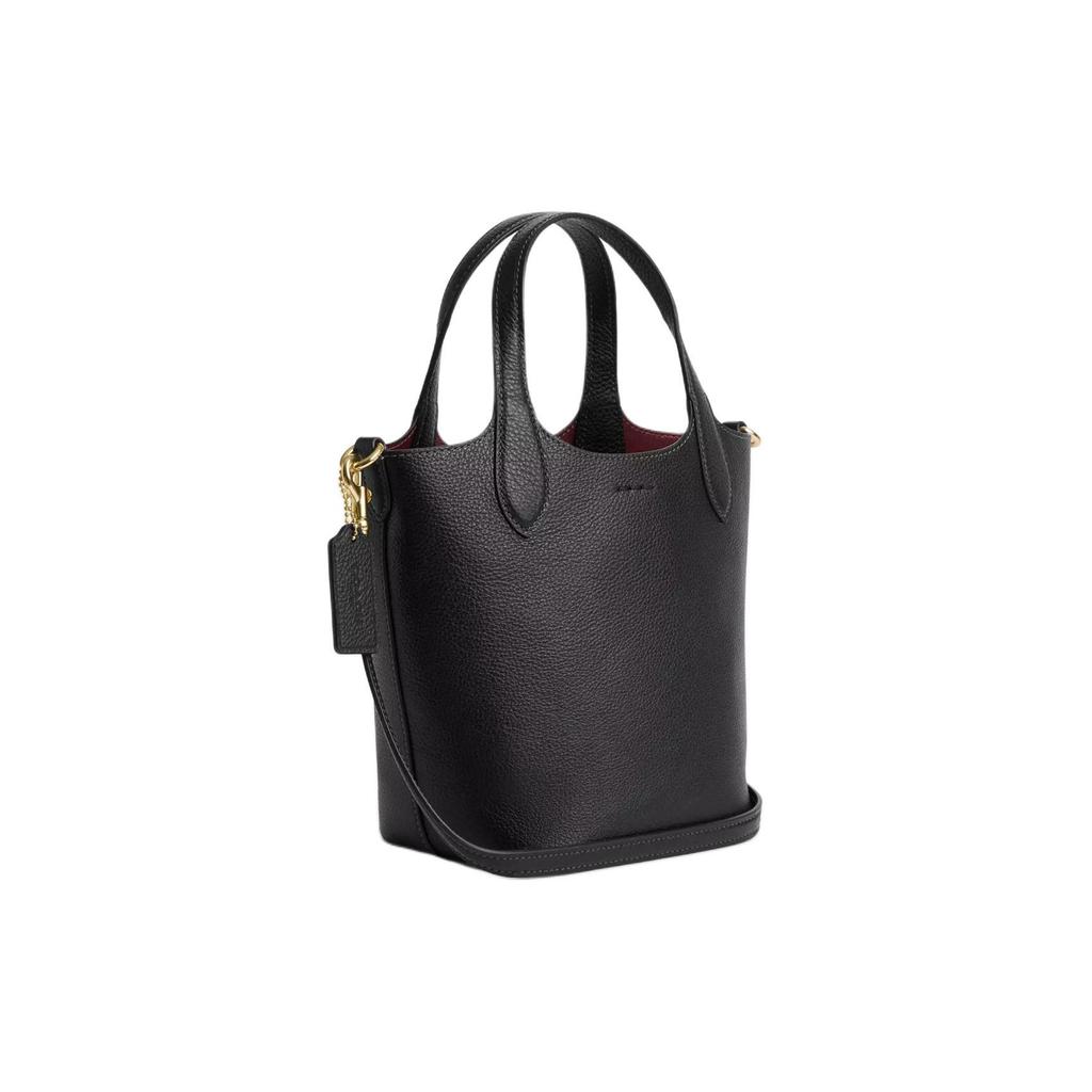Coach Hanna 18 Magnetic Snap Double-Sided Leather Bucket Bag Women Bags Gold Black CR168-IMBLK