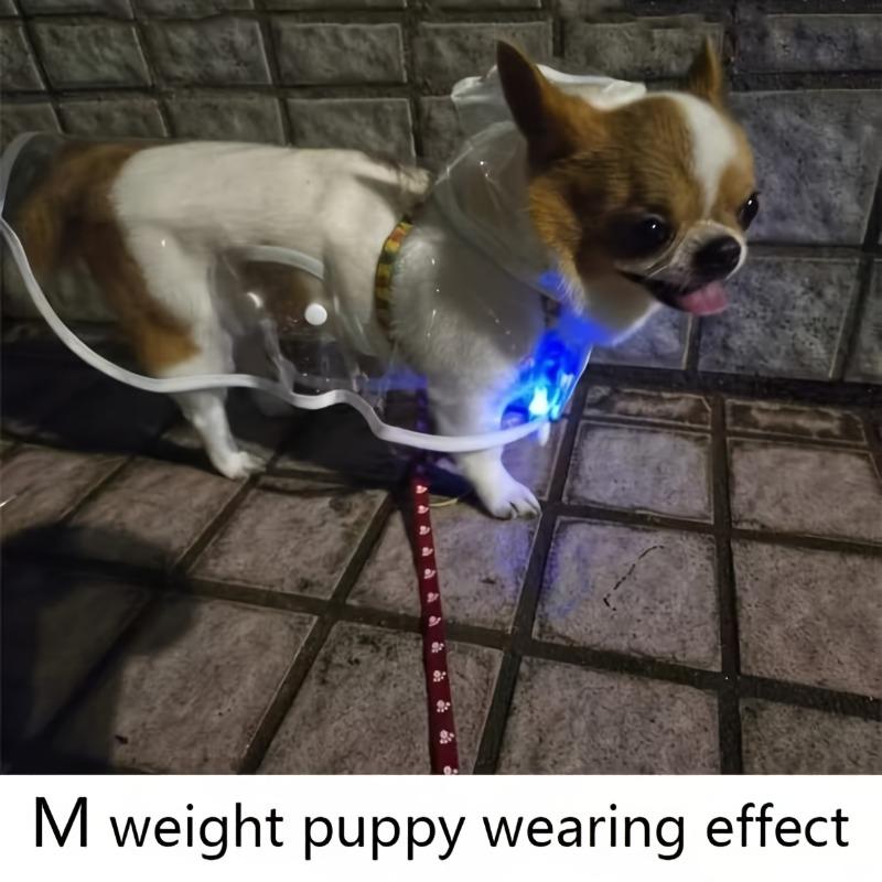 Transparent PVC Dog Raincoat, button-up design for small to medium breeds. Perfect for Teddy, Bichon Frise and rainy outdoor walks.