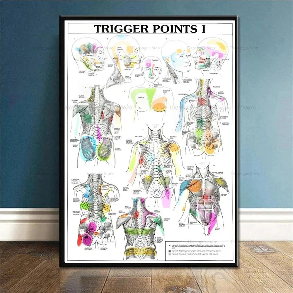 Trigger Points Anatomy Foot Reflexology Chart Study Canvas Painting Poster Prints Wall Art Picture Photo Gift Room Home Decor