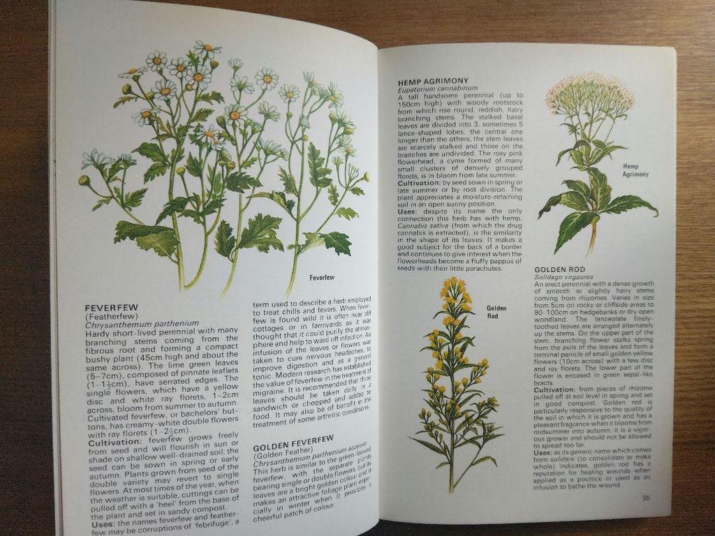 [USED] Defective Plant Encyclopedia Herbs Foreign Books HERBS Botanical Art
