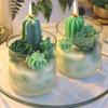 Succulent Resin Mold Candle Molds Chocolate Mold Silicone Molds 10X Resin Molds 3D Succulent Cactus Epoxy Mold For Candle Soap