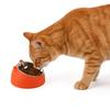 Stainless Steel Slanted Cat & Puppy Bowl - Small, Non-Slip Design for Food & Water