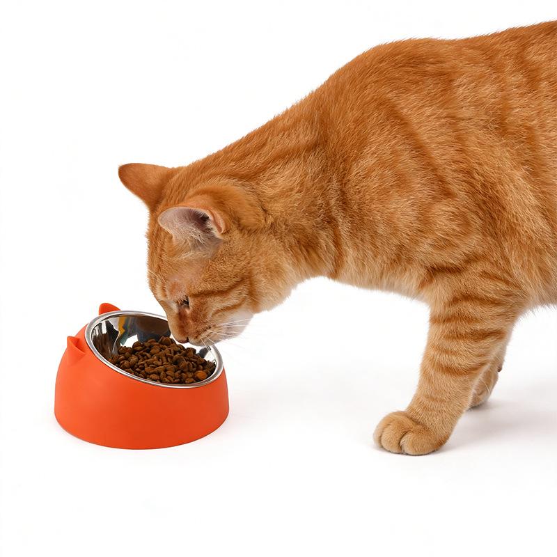 Stainless Steel Slanted Cat & Puppy Bowl - Small, Non-Slip Design for Food & Water