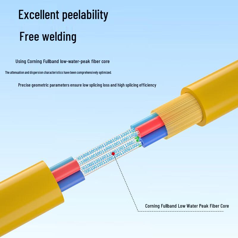 BOYANG GJFJH Single-Mode Indoor Fiber Optic Cable