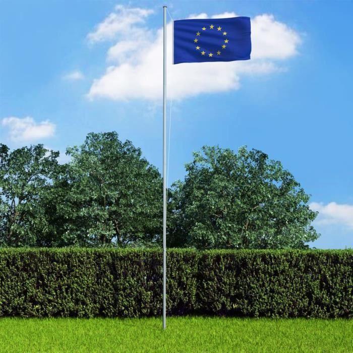 VidaXL European Union Flag 90x150 Cm