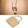 Household Outdoor Padlock with 3 Keys MediumThick Brass Iron Padlock for Door Cabinet(40mm )