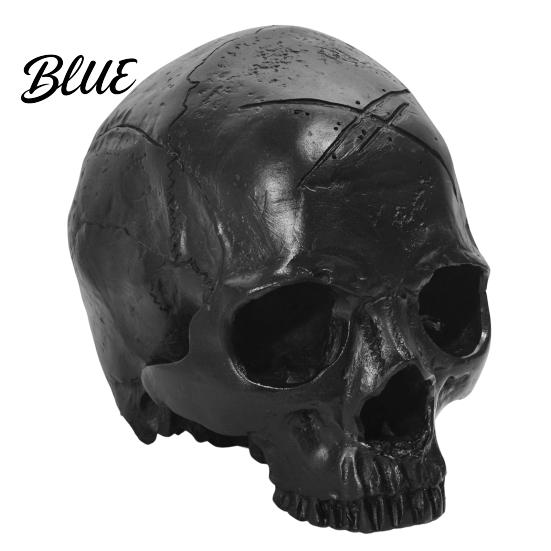 Skull Teaching Model Multi-scenario Decoration Dark Halloween Style Resin Ornament Prop Sturdy Durable Model Matte Black Anatomy Gothic Replica