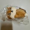 DAY6 Denimals Plusle Hand Warmer (ke)