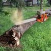 Gas Chainsaw 71.8CC 24"  3.9KW Handheld Cordless Petrol Chainsaws for Tree Wood Branch Farm Garden Ranch Forest Cutting Use