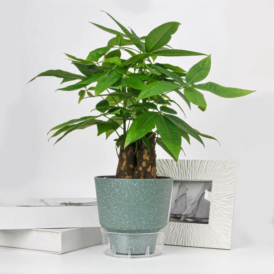 Self-Watering Flowerpot Plant Pot with Visual Reservoir Drainage Hole Self Watering Planter with Absorbent Rope for Indoor Outdoor Plants