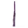 Whip & Nipple Clamp Set: Adult Teasing Toy for Bisexual Play