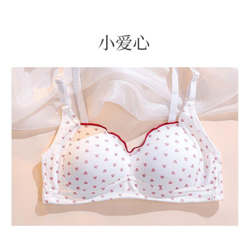 Sexy Women Push Up Bras Cute Bras For Girls Fashion Lingerie For Lady Sexy Underwear