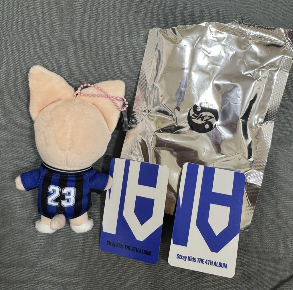 [USED] Stray Kids KARMA Foxxy skzoo AIEN