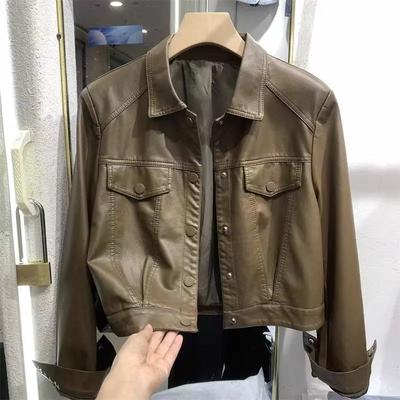 Autumn New Pu Leather Jacket Women's Niche Short Jacket