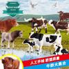 Children's Cognitive Animal Model Toy: Yellow Cow, Buffalo, Rhinoceros, Zebu, Bison, Bull Figurine.