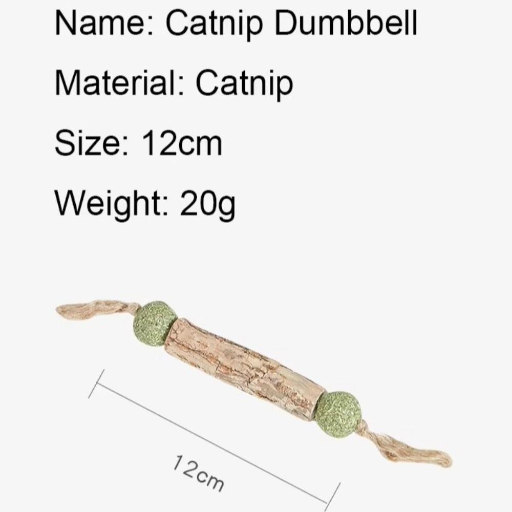 Pure Natural Cat Teeth Cleaning Stick Catnip Actinidia Fruit Cat Molar Toothpaste Stick Toothpaste Matatabi Stick