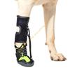 Roupa e sapatos – Sapatos para cães