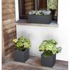 Planter EDA polypropylene Plastic Rectangular (Refurbished B)
