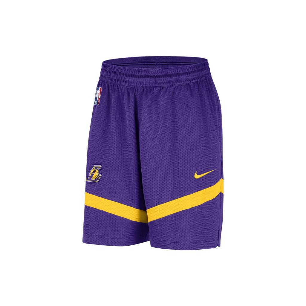 Nike Los Angeles Lakers Dri-FIT NBA Color Block Logo Training Straight Leg Basketball Pants Men bottoms Deep-Purple DZ3722-504