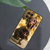 Dachshund Dog For Honor Magic 7 Lite 6 8 Case For Honor 200 400 Pro 90 70 50 X8c X8b X9a X9b X9c X9d Win RT