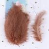 50Pcs Natural Turkey Marabou Feathers Multicolors Fluffy Marabou Feather For Party Costume Jewelry Making Decoration Plumas
