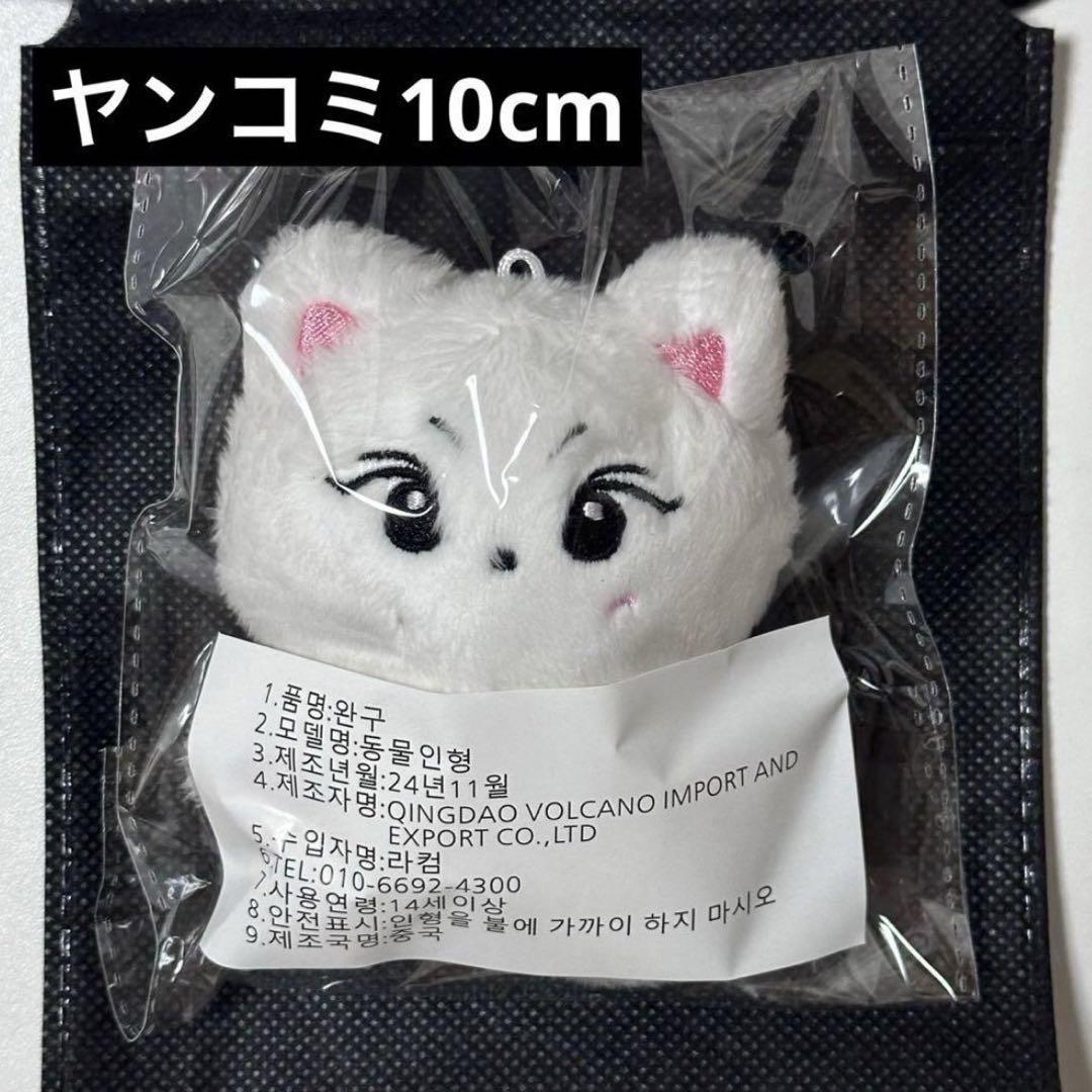

[USED] Jungwon 10cm Plush Toy by ENHYPEN (Yancomi) with Drawstring Pouch