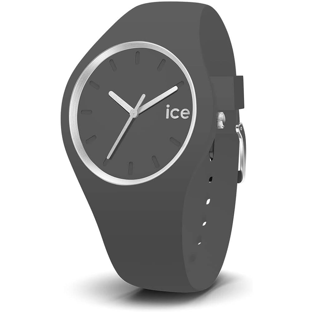 Ice Watch ICE ANY Women s Small Gray Wristwatch 021149