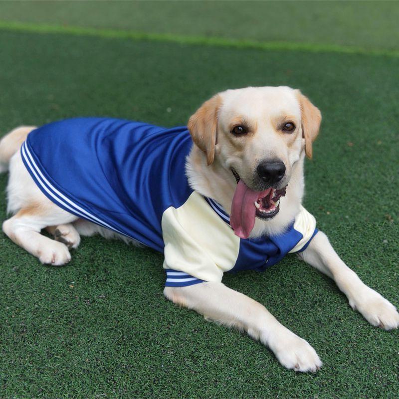 M~7XL Warm Big Dog Baseball Suit Medium Large Dogs Autumn Winter Clothing Golden Retriever Labrador Dog Sweater Thick Style