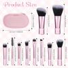 CoolShef 10 Pcs Mini Travel Makeup Brush Set with Blush Powder Eye Shadow, Make Up Brushes for Women, Compact Pink Cosmetic Kit for Beauty Lovers a