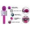 Karaoke Microphone for Kids & Adults  , Echo Effect, Built-in Speaker Portable Karaoke Player for Party Travel Gifts