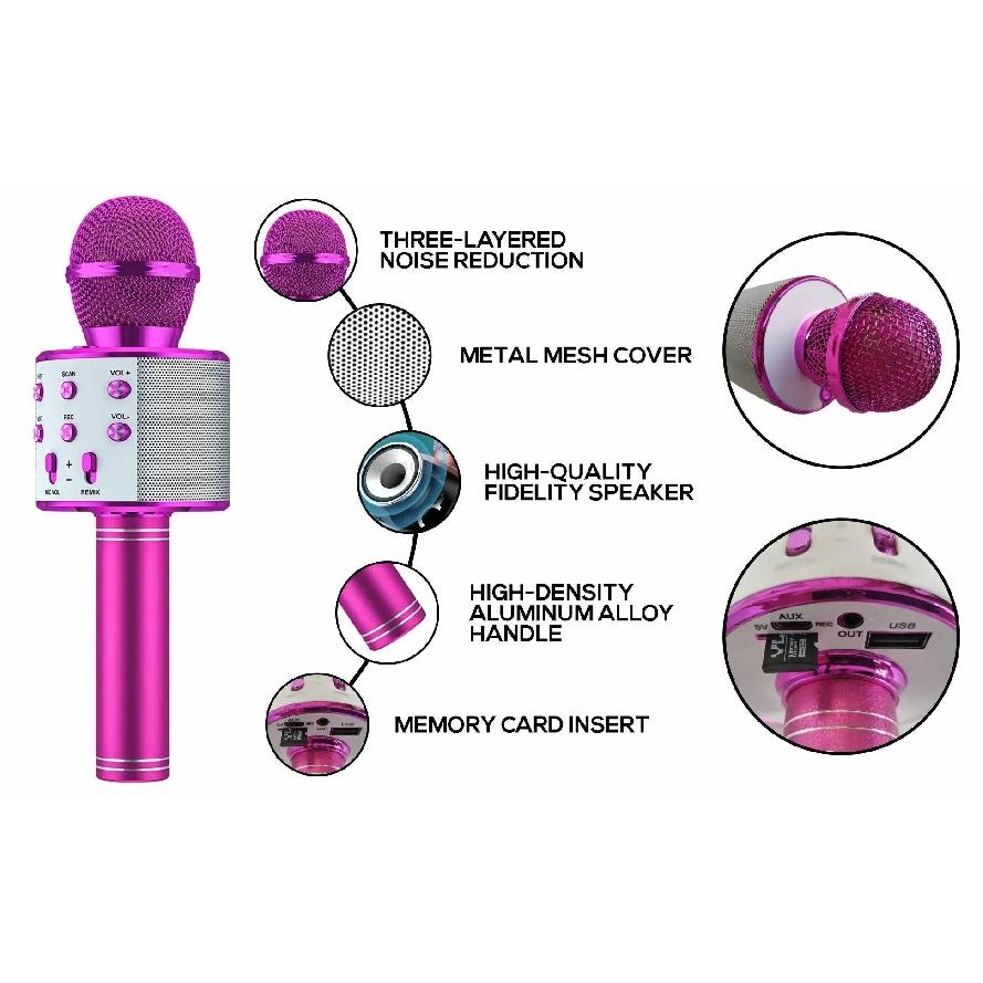 Karaoke Microphone for Kids & Adults  , Echo Effect, Built-in Speaker Portable Karaoke Player for Party Travel Gifts