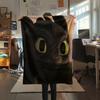 How to Train Your Dragon pattern Flannel Blanket, High quality Comfortable for All Seasons, Home Decor, Warmth and Comfort, Perfect for Gifts.
