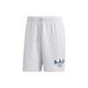 Original AAC Shorts 'Grey' Men's IM4583