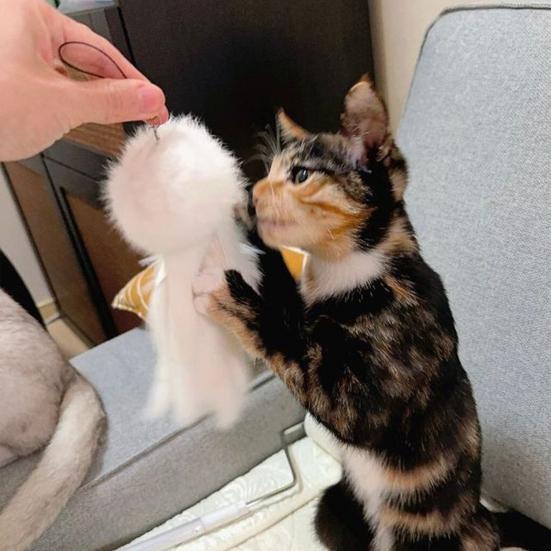 Giocattolo Interattivo per Gatti con Pelliccia Morbida Design Leggero Forma di Polpo Giocattolo per Animali Domestici per Far Spendere Energia