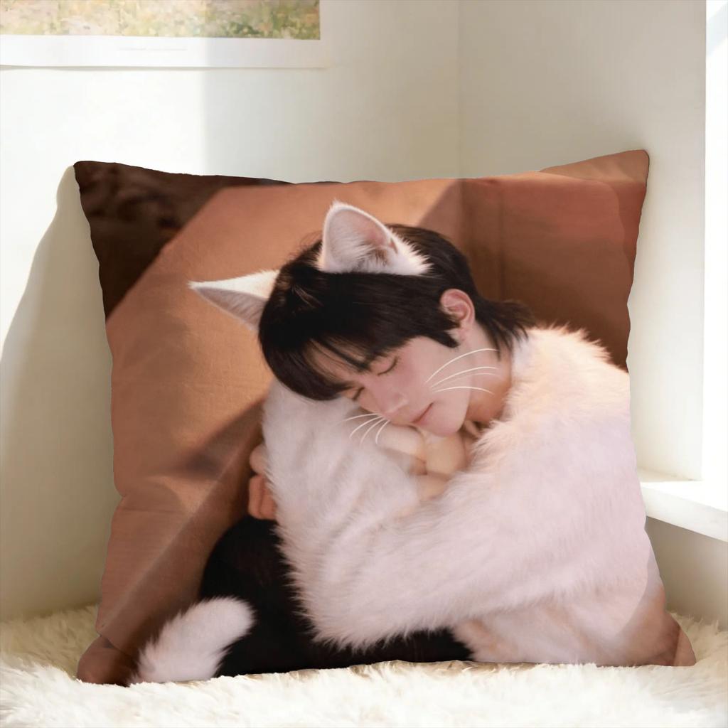 Huang Xing Eliot Huang D-Desire Pillow Case Comfy Pillow Cover For Office Car Home Decor Cute Funny Cushion Cover