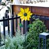 Metal Garden Windmill Spinner Simulation Wind Rotator Sunflower Flower Model Flower Pinwheel  Yard