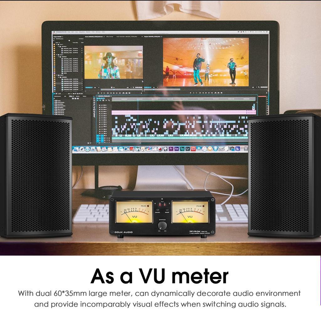Douk Audio VU3 Dual Analog VU Meter, 2-Way Amp/Speaker Switch, DB Panel Display Audio Switcher Box