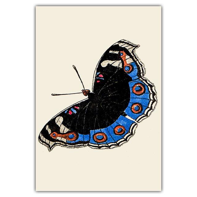 Artă retro, fluture colorat, pictură pe pânză, carte de artă de perete, poster pentru știința și educația animalelor, coridor, decorare a casei, murală fără cadru