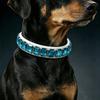 Bling Strass Hundehalsband Weißes PU-Leder Katzenhalsband Funkelndes Kristall Haustierhalsband Verstellbar für Hunde Tägliches Gassi Gehen Party Dekoration