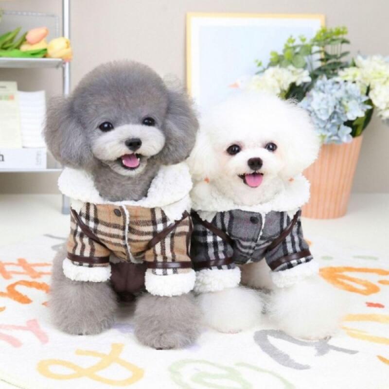 Dog Clothes Dog Clothes Check Mustang brown