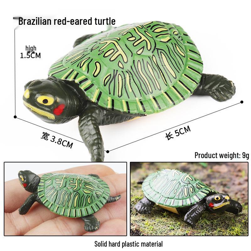 Cross-Border Children's Cognitive Amphibian & Reptile Tortoise Model Fish Tank Ornament Toy