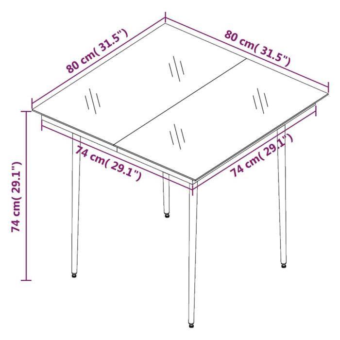 VidaXL Mobilier à Dîner de Jardin 5 pcs, Ensemble à Manger avec Table et Chaise, Ensemble de Salon, Meubles de Terrasse 3099216