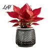 Deep Soil Planting Basin Self Watering Planter with Wick Rope for Indoor Plants Double Layer Pot Home Transparent Hydroponic Planter Decorative