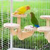 Parrots Ladder Wooden Bird Perch Stand Wear Resistant Parrot Perch Platform  Small Pet