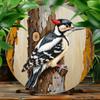 Woodpecker Bird On Tree Trunk Vintage Tin Sign  Vintage Durable Metal Plaque Wall Decor Home Office Bar Man Cave Wall Art