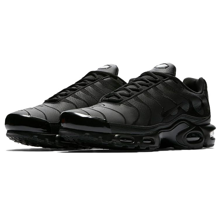 Nike Air Max Plus Men Triple Black AJ2029-001