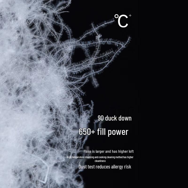 Jin Yujie Women's Lightweight Stand Collar Down Jacket